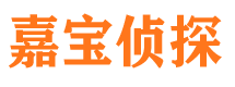 海北市私家侦探